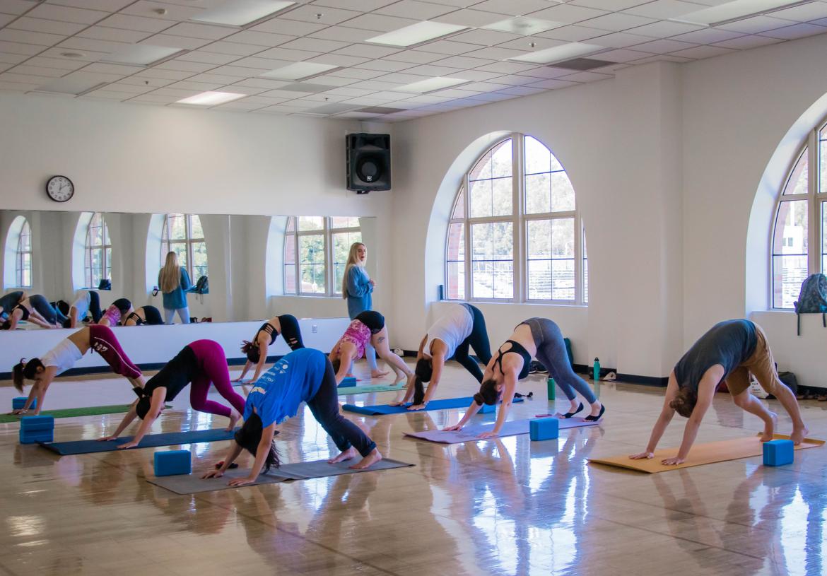 Group Exercise Class