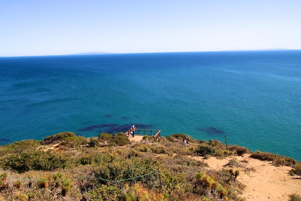 A photo of two people standing at a lookout point on the Point Dume Trail overlooking the ocean.