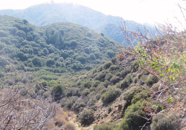 Sespe Wilderness photo