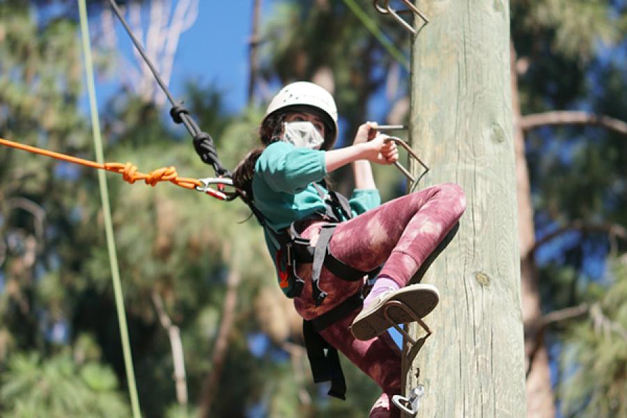 child on high ropes at challenge course